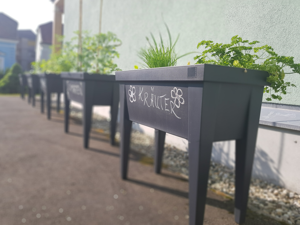 Sozialzentrum Knittelfeld